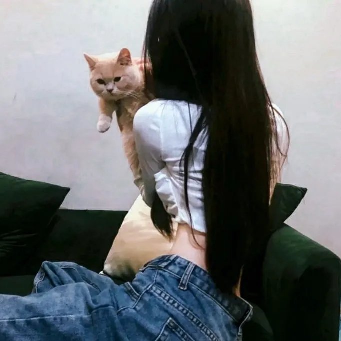 绝望主妇第一季